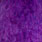 white dyed purple