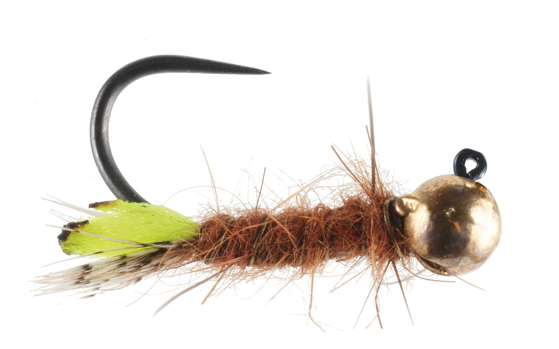 Soldarini Tungsten Jig Nymphe - Peeping Caddis brown