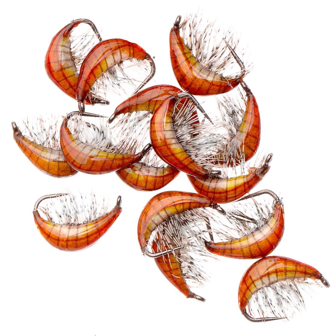 Gammarus_Orange_1