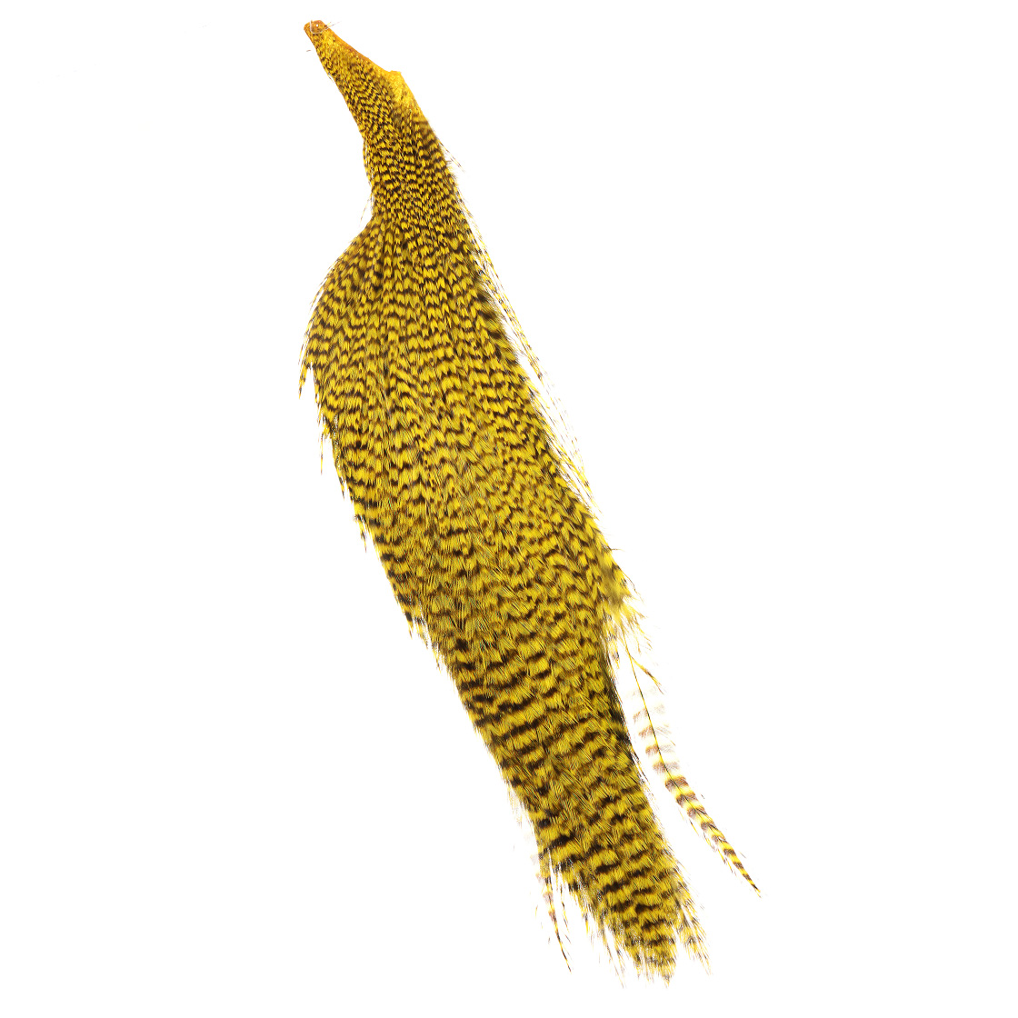 grizzly - fluo yellow