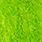 green catcher