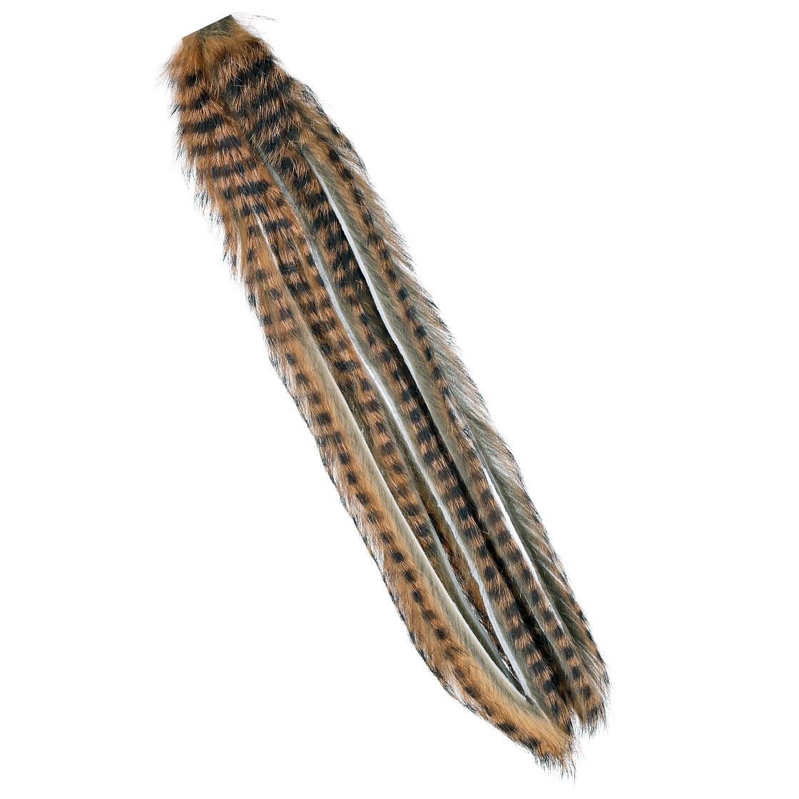 Gold Grizzl Black Barred