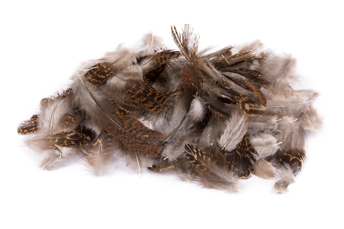 Veniard Grouse Body Plumage