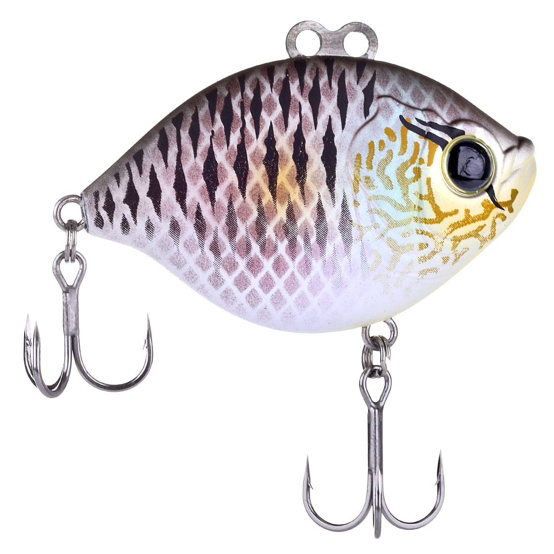 Blue Gill #05