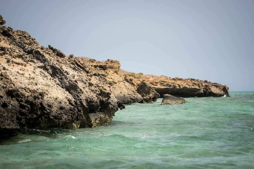 sudan2015-39 - Fliegenfischen auf den Nubischen Flats