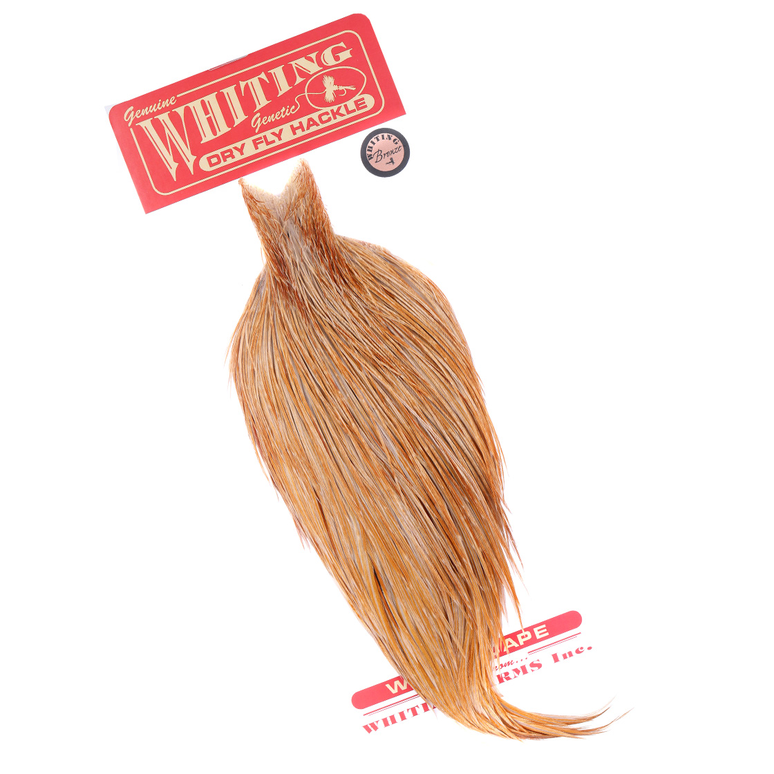 Whiting Bronze Cape Whiting Bronze Cape