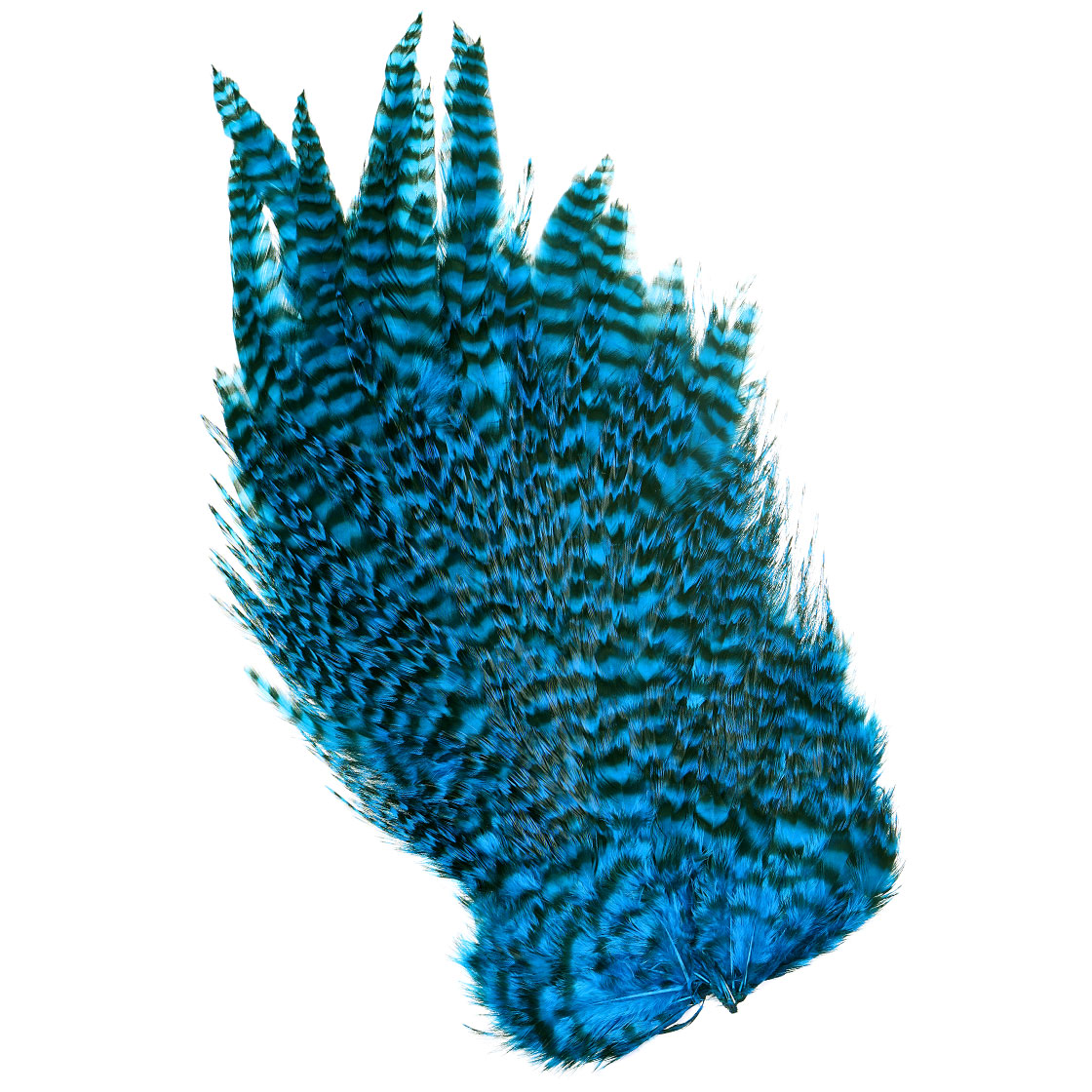 P-25376-10_Whiting-4-B-s-Rooster-Saddle_grizzly-dyed-kingfisher-blue grizzly dyed kingfisher blue