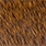 rusty brown