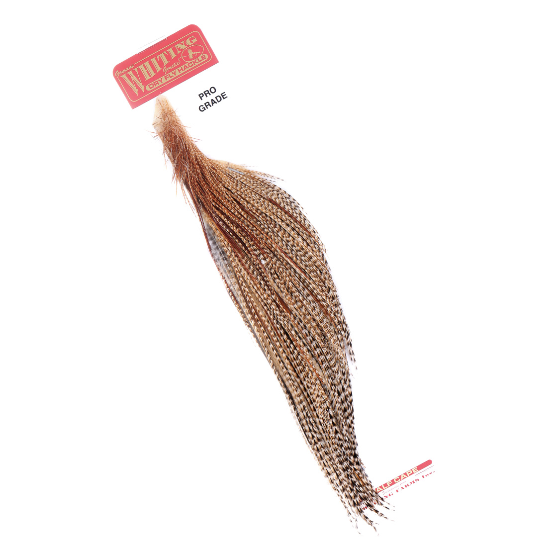 Whiting Pro Grade 1/2 Cape