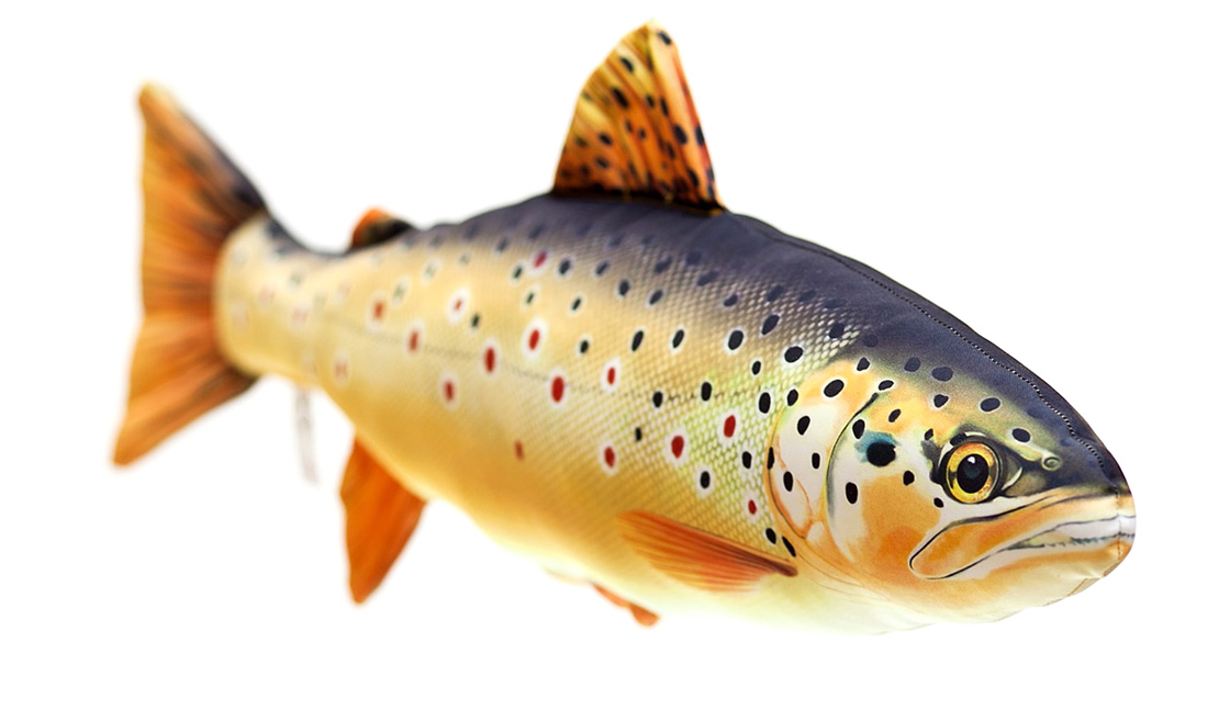 P-29180_Fischkissen_Kuscheltier_Bachforelle_62cm_detail