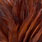 white dyed coachman brown