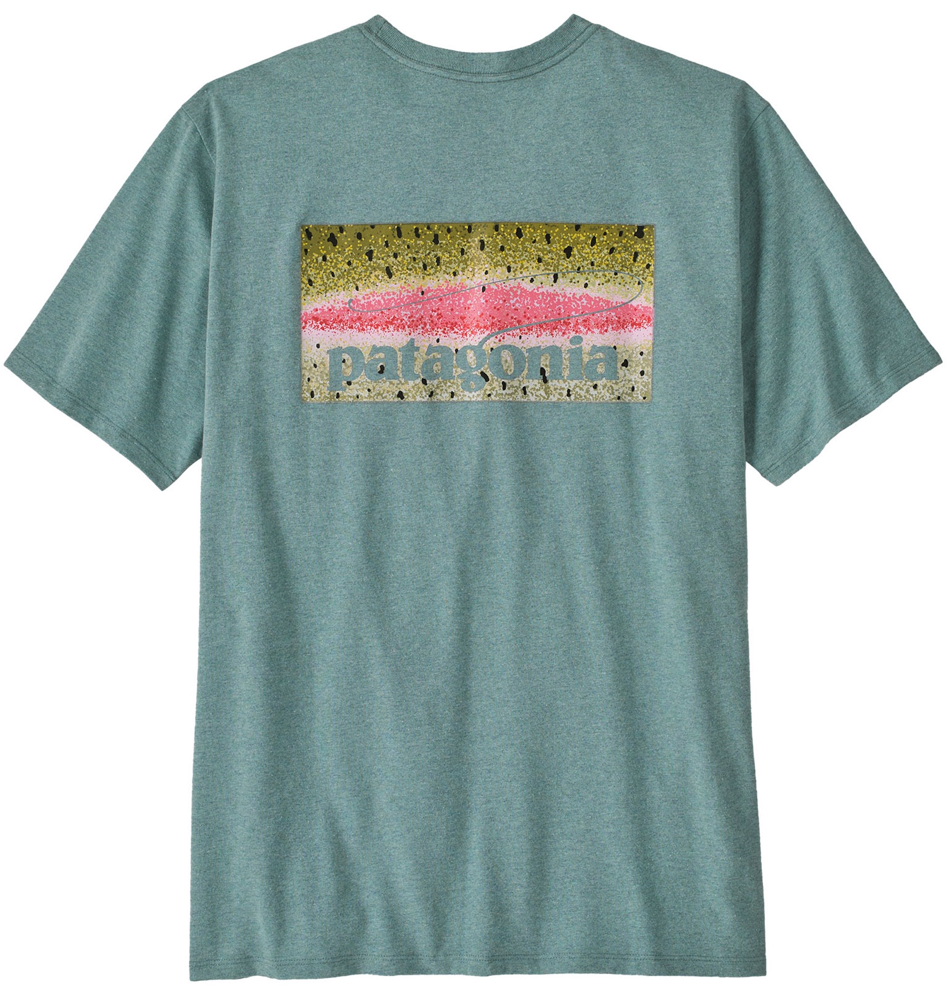 Patagonia Take a Stand Responsibili-Tee RBSG