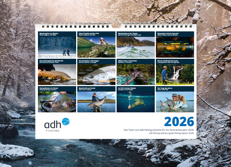 mdnl_kalender2026_blog