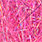 evil magenta