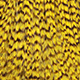 grizzly - fluo yellow