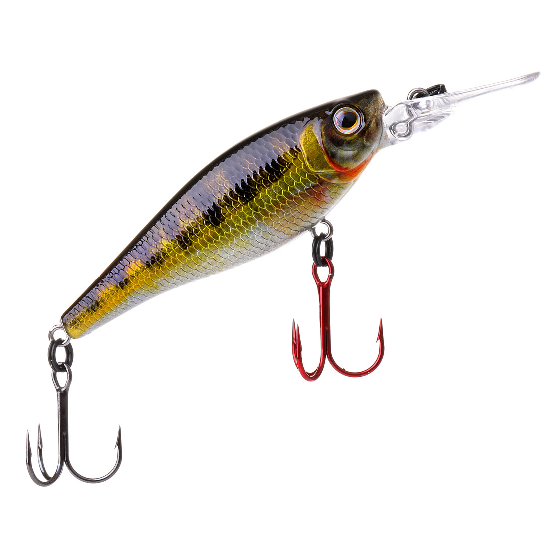 zander