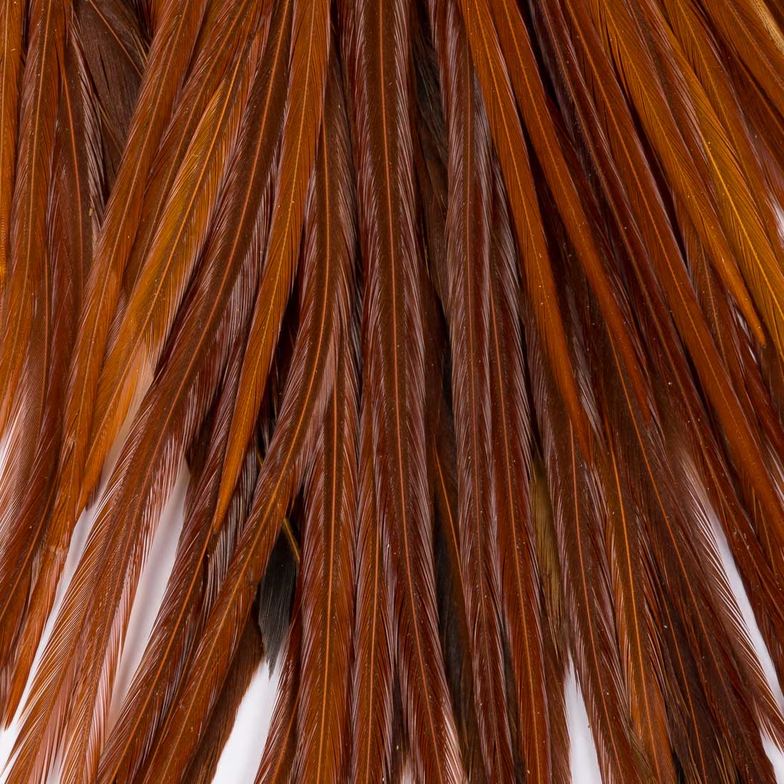 wapsi-metz-rooster-saddles-half-brown-2