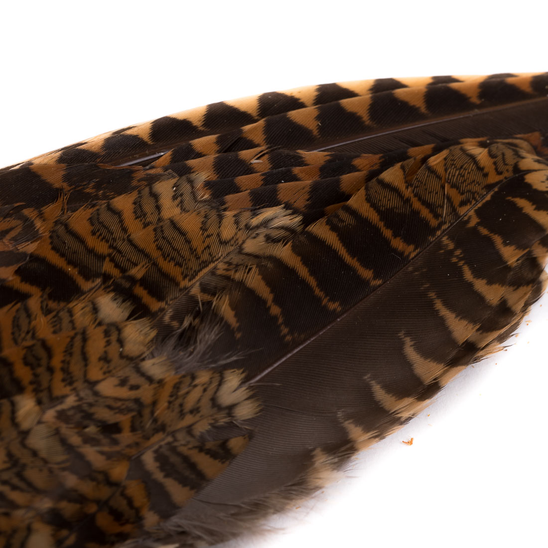 veniard-woodcock-wings-2