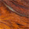 crawdad orange
