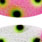 pink snowflake