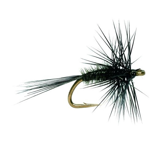 Feeder Creek Black Gnat Trockenfliegen - 12 Stück Für Forellenangeln