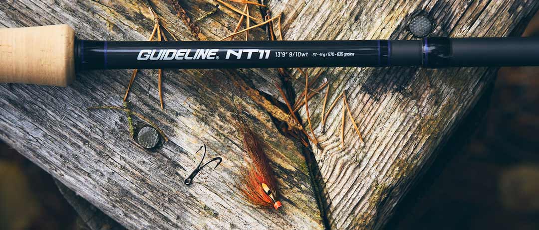 Guideline NT11