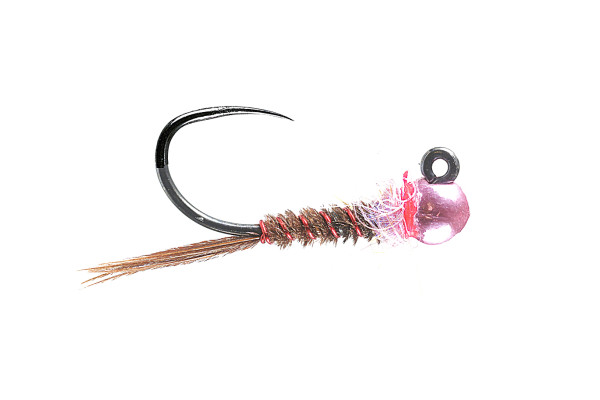 Soldarini Tungsten Jig Nymphe - Metallic Pink Pheasant Tail
