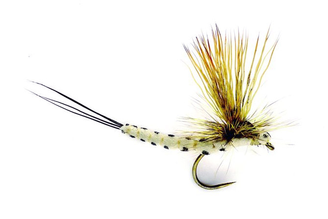 Dry Trout Flies size 10,Trout Flies Fishing Flies 8 Black Horned Sedge