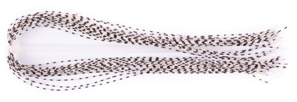 Hareline Grizzly Barred Rubber Legs Fine white