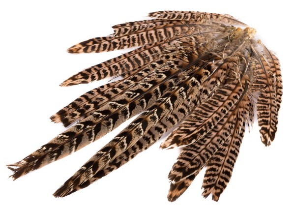 Hareline Ringneck Hen Pheasant Tail Clump Schwanzfedern