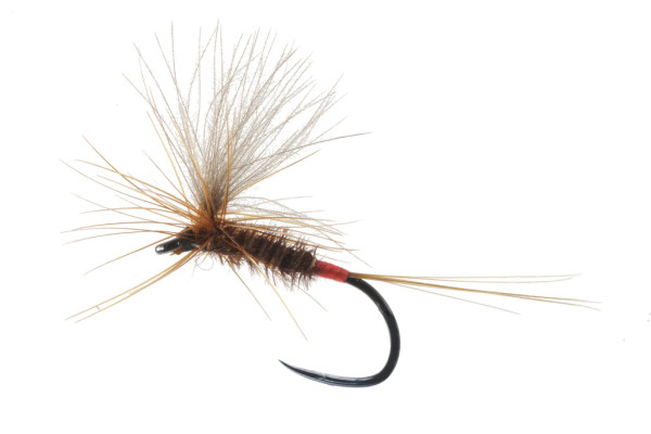 Soldarini Fly Tackle Trockenfliege - Special CDC Pheasant Tail Red Tip Parachute