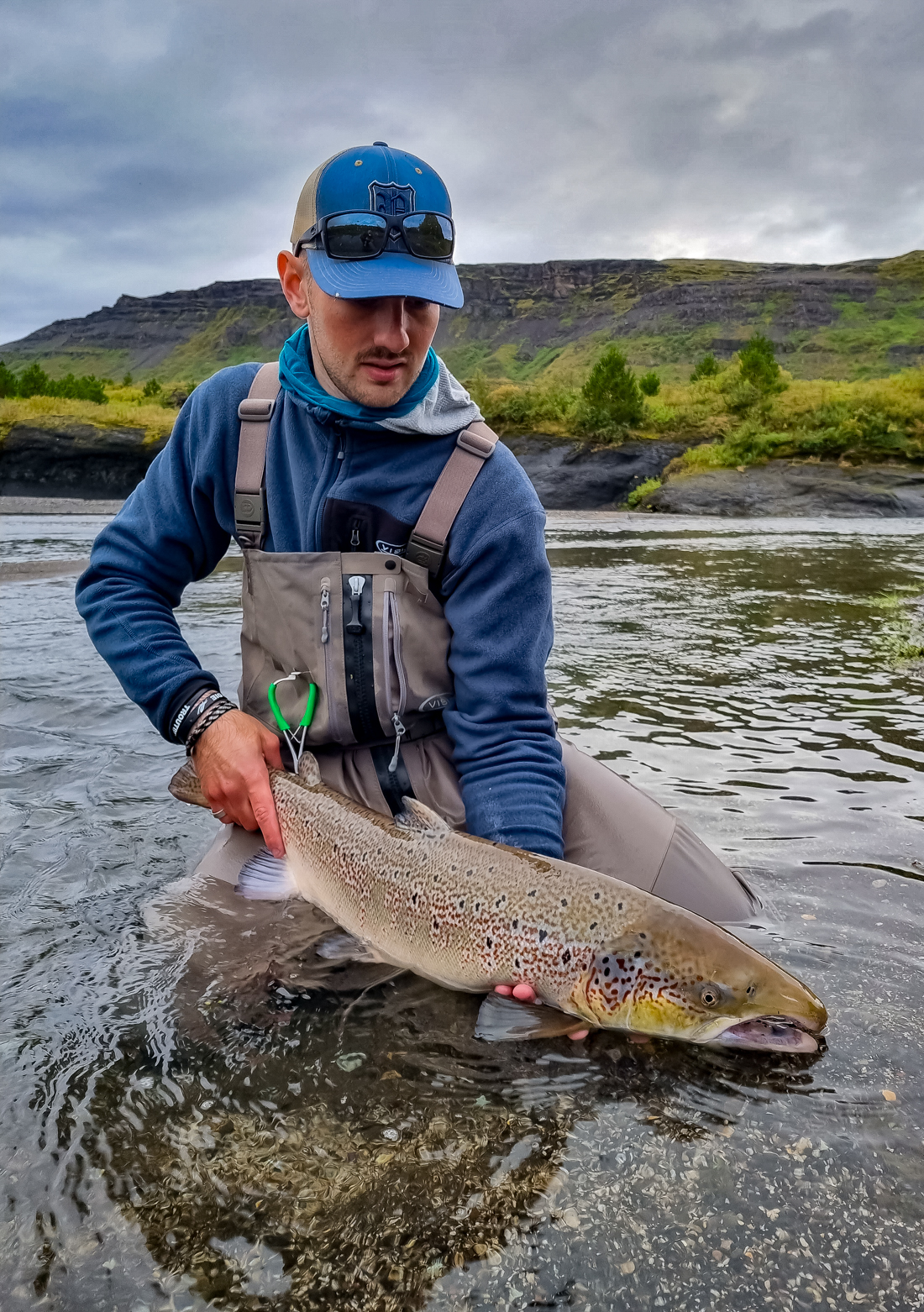 Lachs auf Island als Beifang