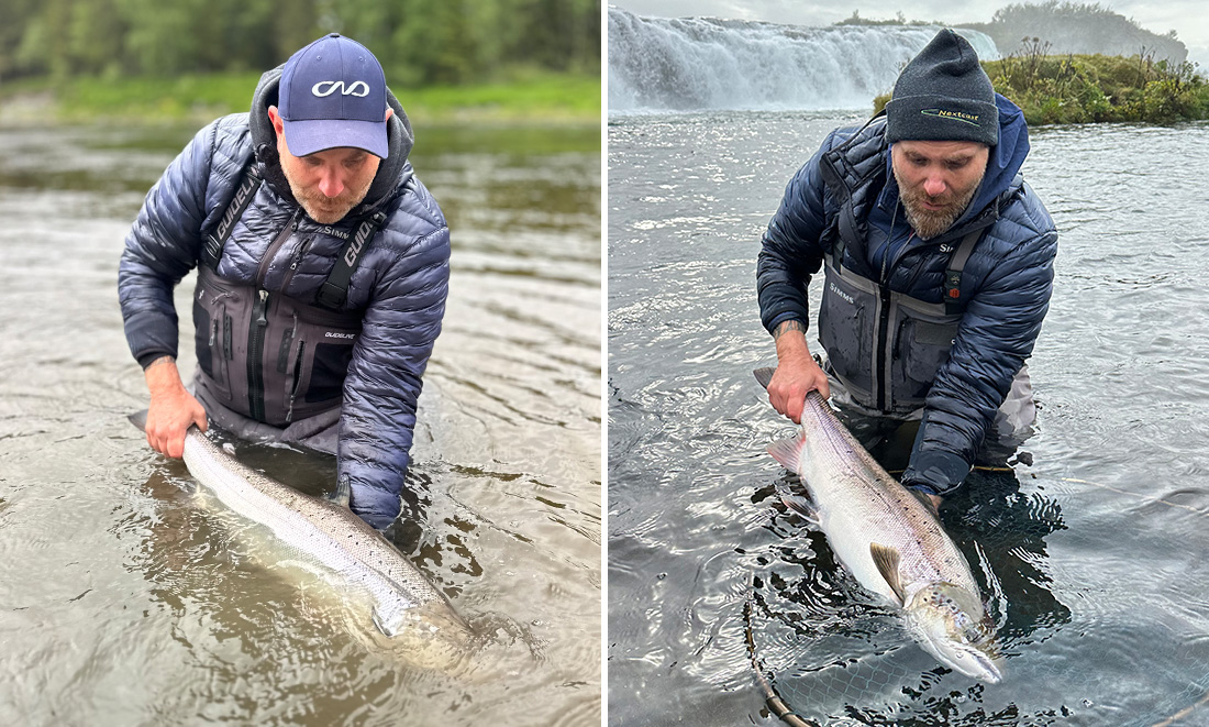 Salmon on Flashwing Tubes