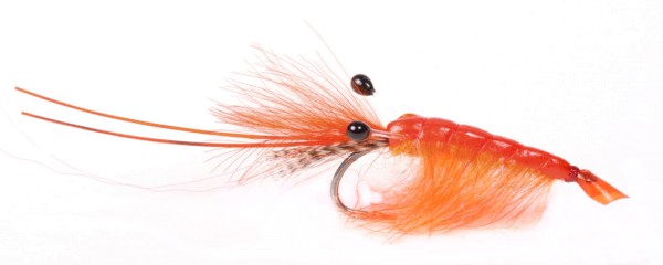Guideline Meerforellenfliege Orange CDC Shrimp