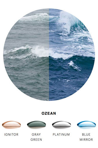 Polarisation