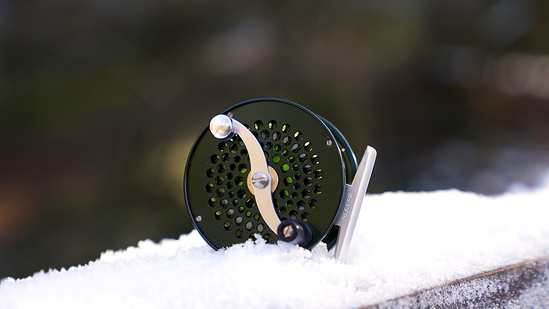 Iwana Trout Series in the Snow