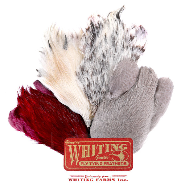 Whiting 4 B's Rooster Cape