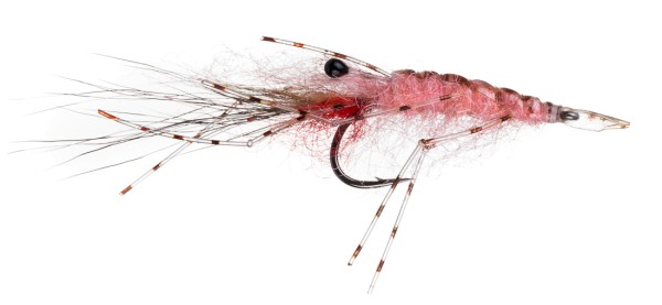 Guideline Meerforellenfliege Leoshrimp pink