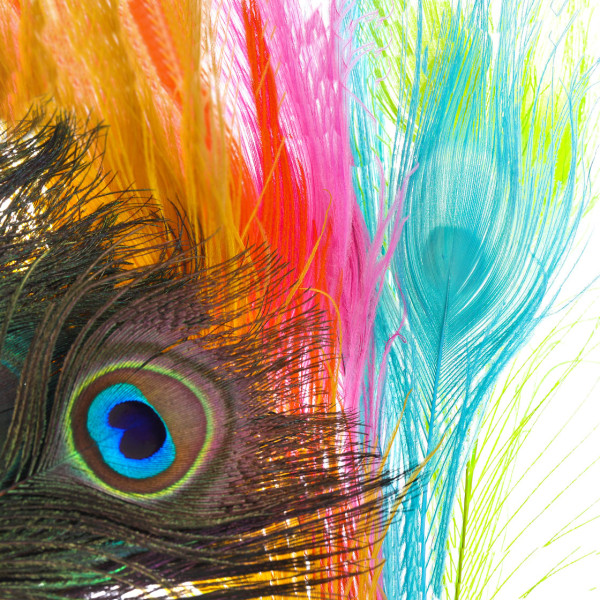 Frödin Flies SNS Peacock Eye Feathers Pfauenaugen Federn
