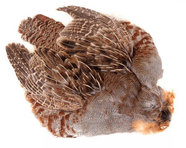 Hareline #1 Hungarian Partridge Skin Natural Rebhuhn Balg natural