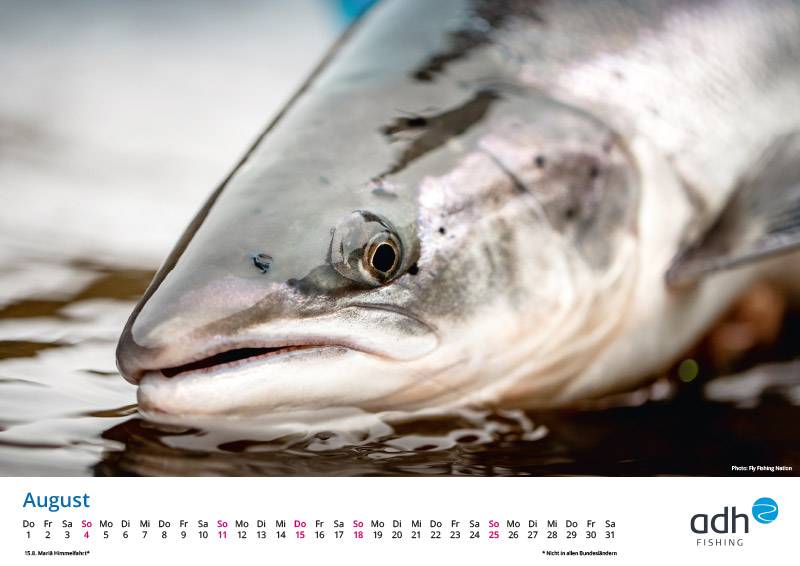 Gratis FliegenfischerKalender für 2024 adhfishing