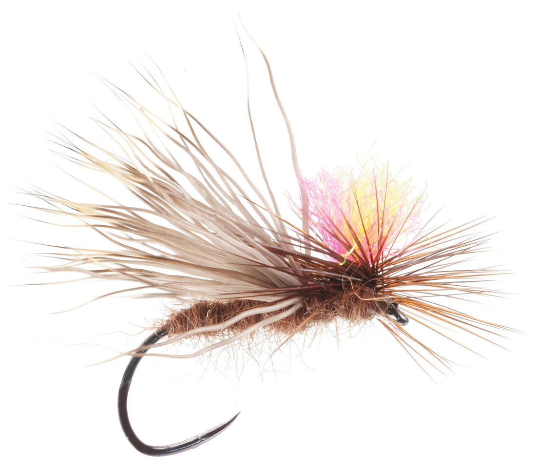 DRY FLY