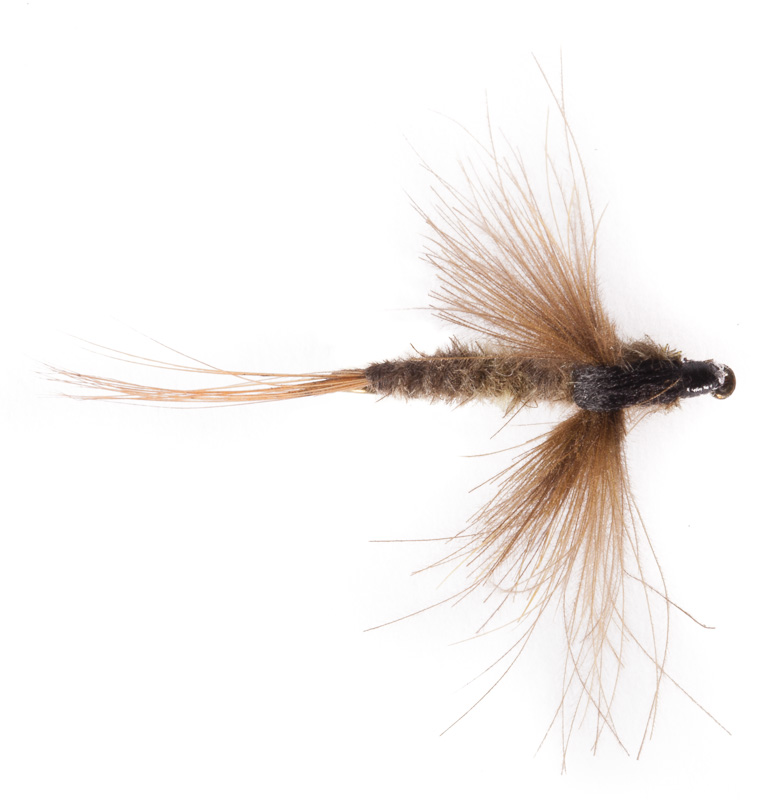 DRY FLY