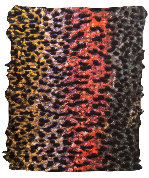 Traper Nacken- und Halstuch mit Sonnenschutz Wild Rainbow Trout Schlauchtuch
