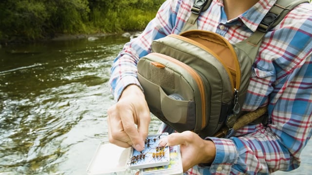 Fishpond Cross-Current Chest Pack Brusttasche