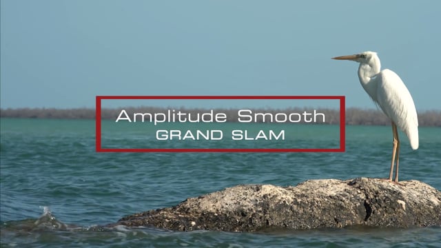 Scientific Anglers Amplitude Smooth Grand Slam Fliegenschnur