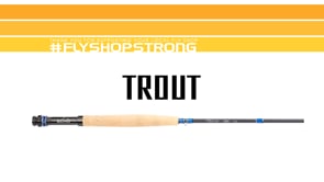Echo Trip Trout Einhand Fliegenrute