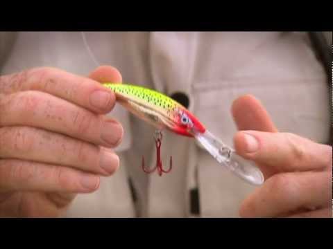Rapala Deep Tail Dancer 11 cm