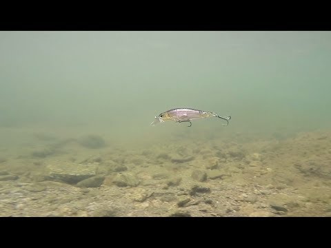 Duo Realis Rozante 63SP