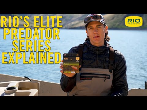 Rio Elite Predator 3D Fliegenschnur F/H/I